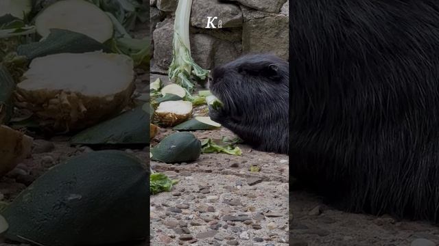 Ну и кто она смотреть онлайн