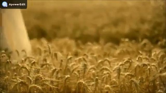 Szabó Lörinc - Szeretlek смотреть онлайн