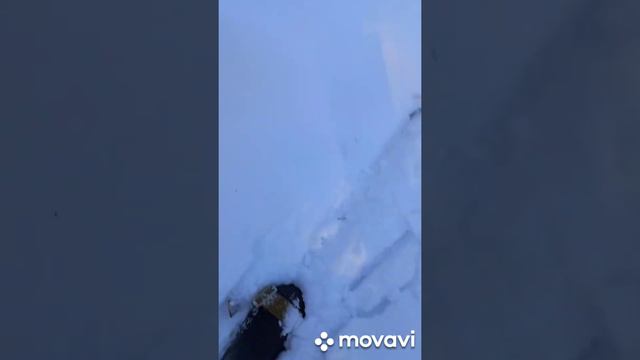 Рыбалка и природа.Но есть и история победы здесь !11-13/03/2020 смотреть онлайн