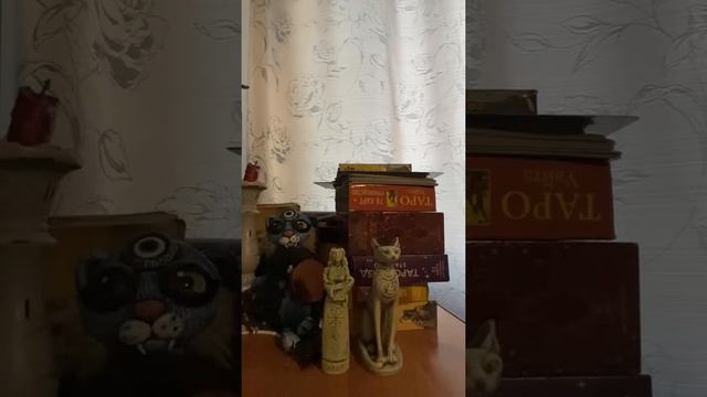 ВОЛОСЫ ДЫБОМ ? ОН И ЕГО БАБЫ ???? ЧТО ПРОИСХОДИТ У НЕГО В ЛИЧНОЙ ЖИЗНИ? ? смотреть онлайн