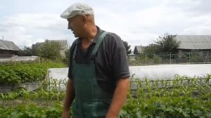 Высокие грядки за безделицу увеличат урожай всего