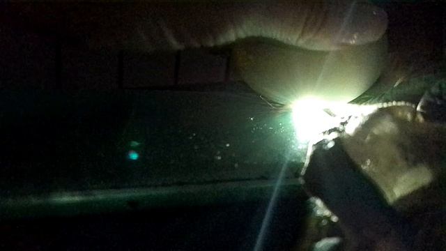 овоскопирование яиц на 11 день инкубации