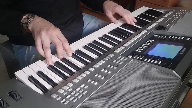 Magnetic Fields 5 - Ymh PSR-s710 смотреть онлайн