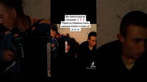 прощай прощай моя любовь Парни очень круто поют под гармошку