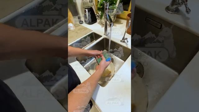 Губки для посуды Альпак макси 5, с абразивом, 5 шт, 10 см х 7 см х 3 см смотреть онлайн