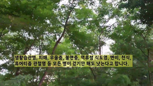 204회 건강하게 오래 살려면 많이 걸어야 합니다 / To live a long and healthy life, walk a lot. смотреть онлайн