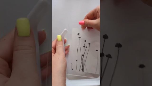 Делай То, Что Воплощает Мечты