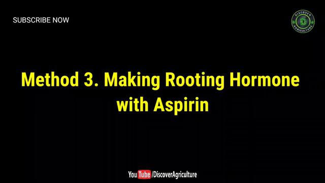 How to Make Rooting Hormone at Home | Homemade Plant Rooting Hormone for Cuttings смотреть онлайн