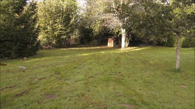 Video Response To Thrand