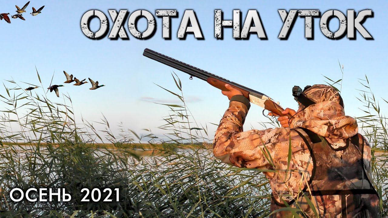 Шикарная охота на утку | Красивые налёты и выстрелы 2021