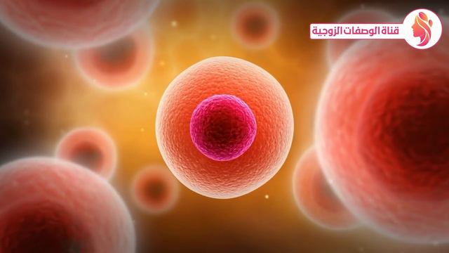 تدليك زيت الزيتون في منطقة السرة وبعد 7 أيام هذا ما سوف يحدث لجسمك وفق أدق الدراسات شيئ مذهل ورباني смотреть онлайн