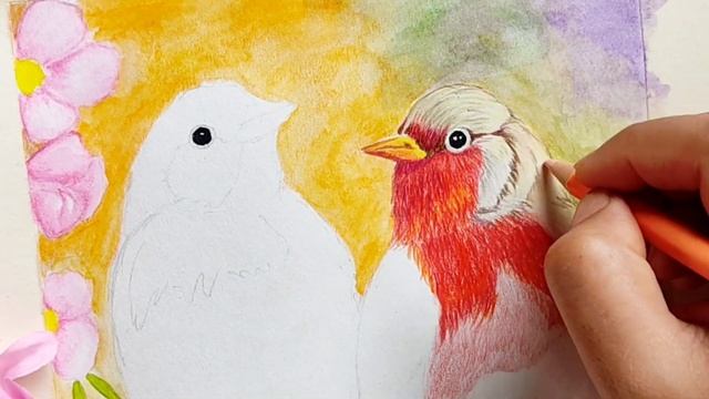 How to Draw Birds with Colour Pencils| Love Bird Sketch | Bird Painting | Bird Chirping Sound смотреть онлайн