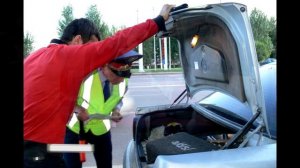 Лишение прав за перевозку бензина в багажнике. Всё, что нужно знать водителю.