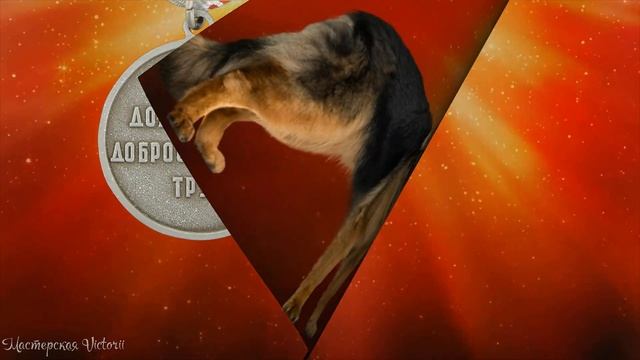УСПЕШНОЙ СРЕДЫ! смотреть онлайн