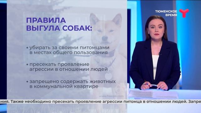 Правила выгула собак, действующие в Тюменской области смотреть онлайн