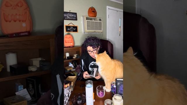 Herbal astrology oracle смотреть онлайн