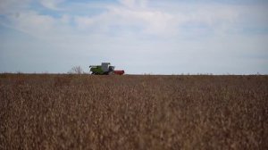 Сев сои по советским технологиям принёс рекордный урожай двух сельхозпредприятиям Приамурья