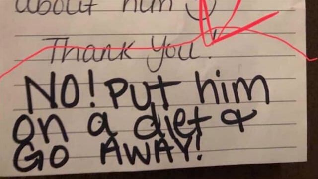 Мама заметила записку в ланч-боксе пятилетнего сына, то что она прочитал поразило всех смотреть онлайн