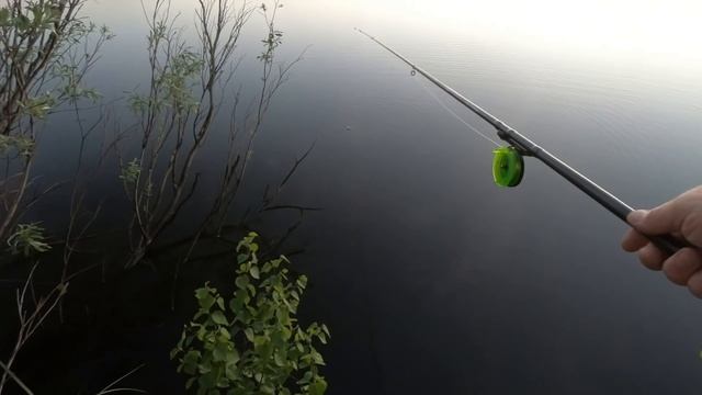 МОХТИК КАК БОНУС)! РЫБАЛКА В БЕЛУЮ НОЧЬ, РЫБАКИ СПЯТ А РЫБЫ ПОЛНО! ВСТРЕТИЛ ЧУДНЫЙ РАССВЕТ НА ОЗЕРЕ смотреть онлайн