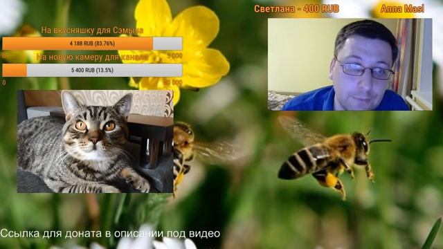 Учим Творить