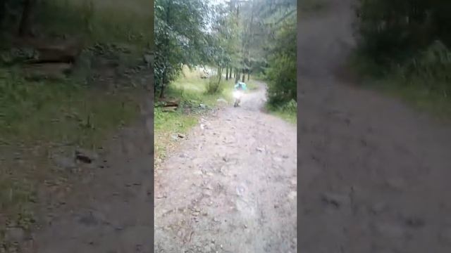 Эндуро поездка КЧР озеро Хурло Кель на zuum 250 suzuki drz 400 часть 2 смотреть онлайн