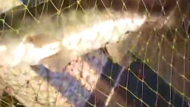 Апрель 2012, Митинка! Рыболовная база Ахтуба-клуб.mp4 смотреть онлайн