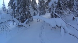 Бродяги Севера. Глухозимье. Часть 2. Немного о кидусе