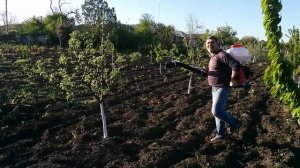 Работа с мото-опрыскивателем Forte 3WF-3