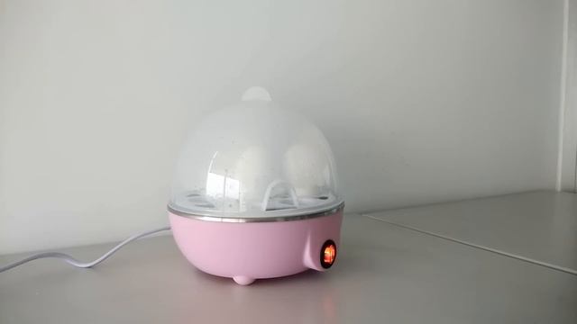 EGG COOKER Testing | westturn Electric Boiler Steamer Poacher 3312 | Trending India смотреть онлайн