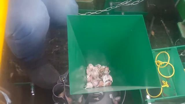 Новый тип ворошения в бункере сажалки для чеснока смотреть онлайн