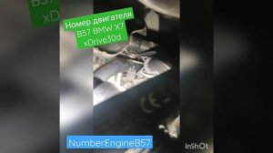 #bmwengine #bmwenginenumber#enginenumber Номер двигателя BMW X7 xDrive30d, мотор B57