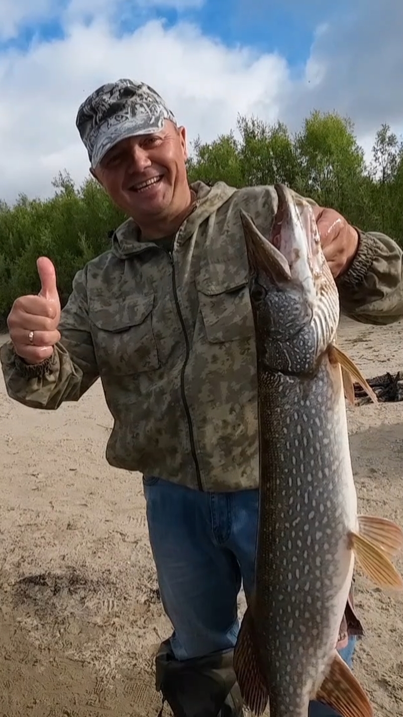 Щука на жерлицу #рыбалка #щука #спининг #fishing #pike #pikefishing смотреть онлайн