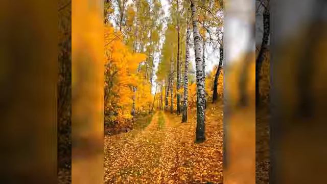 Русь святая осеннию порой смотреть онлайн