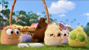 THE ANGRY BIRDS MOVIE 2 - Happy Easter from the Hatchlings! (2019)
