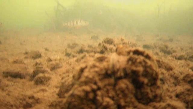 РЫБАЛКА НА РЕКЕ ПРОНЯ