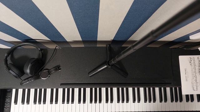 Kawai KDP75 обзор