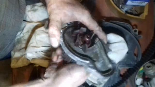 Помпа приехала. Хонда аккорд 6 смотреть онлайн