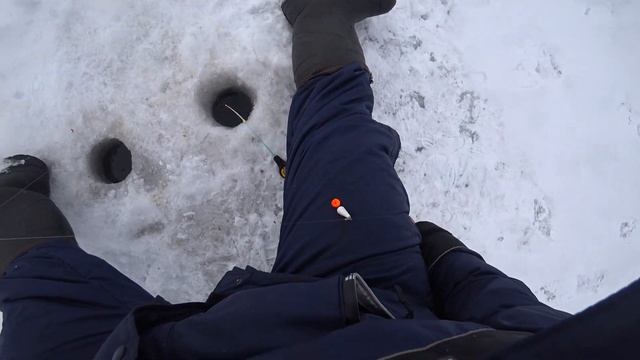 ПРИЕХАЛ ЗА ЛЕЩОМ НА ВАЗУЗУ, А ПОПАЛ НА БЕШЕННЫЙ КЛЕВ ПЛОТВЫ! смотреть онлайн