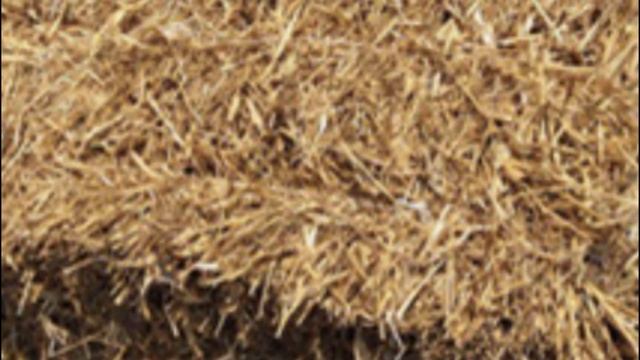 Когда рекомендуется сажать чеснок под зиму смотреть онлайн