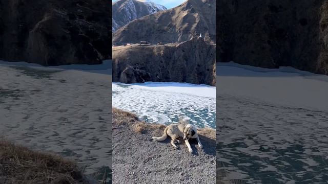 Кристальное озеро на юге России #россия #чудо #сила смотреть онлайн