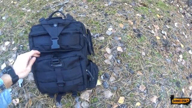 Kiwidition Tonga II (00305) смотреть онлайн