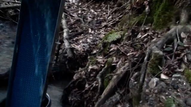 Золото в горном ручье 2