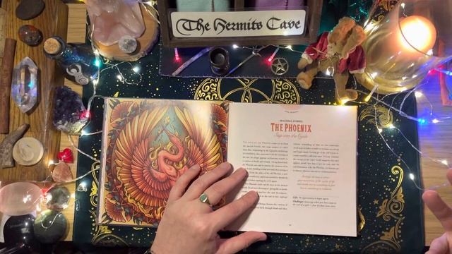 Maia Toll’s Wild Wisdom Companion ~ Beautiful Book and Oracle Cards смотреть онлайн