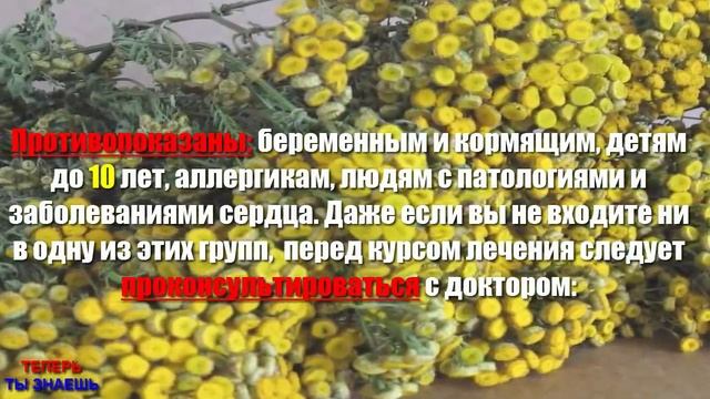 ГЛИСТЫ Её ТЕРПЕТЬ НЕ Могут! СУПЕР-ТРАВА От ПАРАЗИТОВ (ОСТРИЦЫ, АСКАРИДЫ, СОЛИТЁРЫ)!