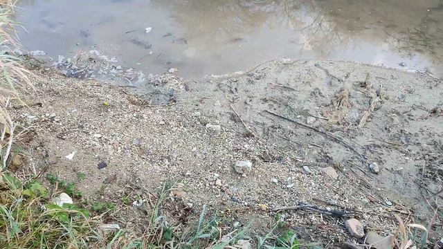 Заглянул на речку, чтоб поискать рыбные места на Биюк-Карасу 7 ноября 2023 г. смотреть онлайн