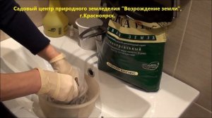 Как сохранить корень пиона до посадки на постоянное место?