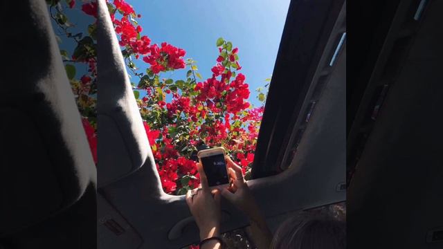 ormars - Ромео и Джульетта смотреть онлайн