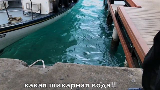 ВЛОГ 9 ч.1 Мальдивы Полет, катер, электромобиль. смотреть онлайн