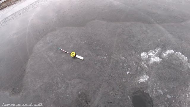 БЕРШ на малька с ОДНОЙ лунки! Берш зимой! Зимняя рыбалка 2021!