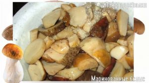 Простой и вкусный рецепт маринования белых грибов! Как замариновать белые грибы на зиму?